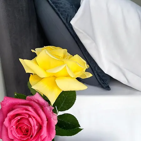 Art'appart Sunset - Center Tirana